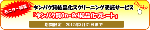 ��˥����罸������ѥ����뾽�������꡼�˥󥰼��������ӥ��֥���ѥ���On-Gel�뾽���ץ졼�ȡ�