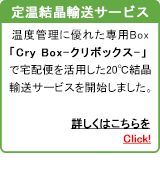 겹뾽͢ӥCry Boxʥܥå